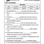 Virus And Bacteria Worksheet Probability Worksheets Phases Of The Intended For Virus And Bacteria Worksheet Answer Key
