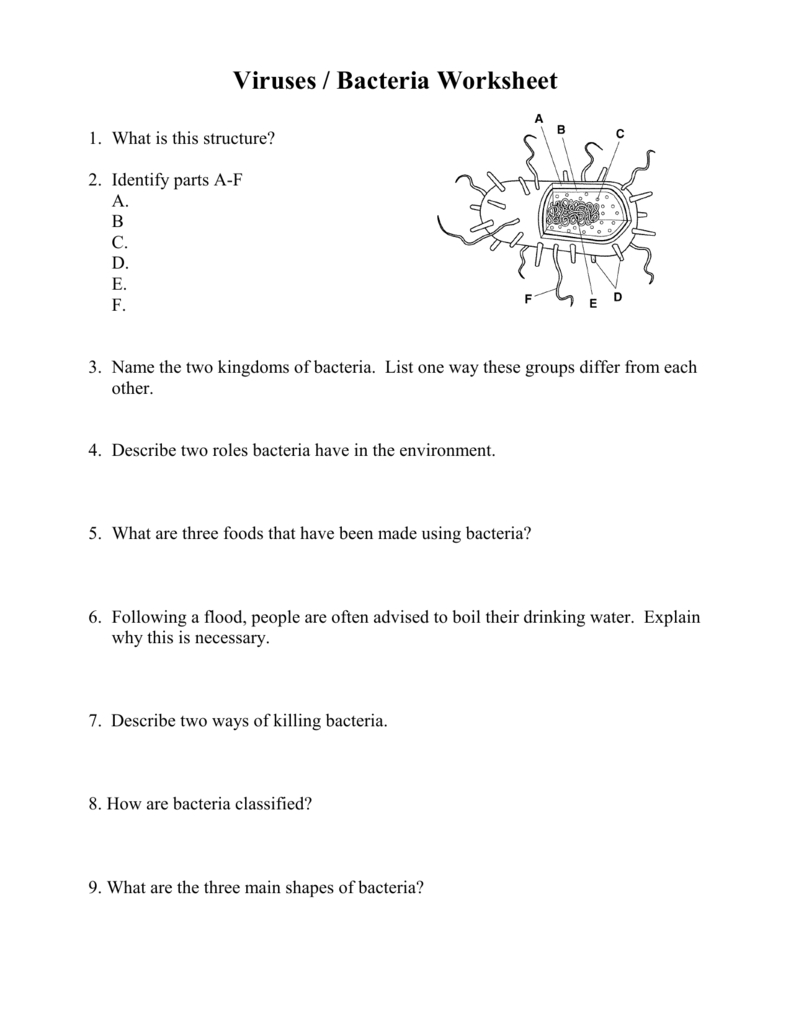 Viruses  Bacteria Worksheet For Viruses Bacteria Worksheet