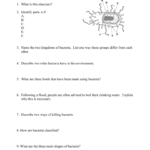 Viruses  Bacteria Worksheet Pertaining To Virus And Bacteria Worksheet Answers