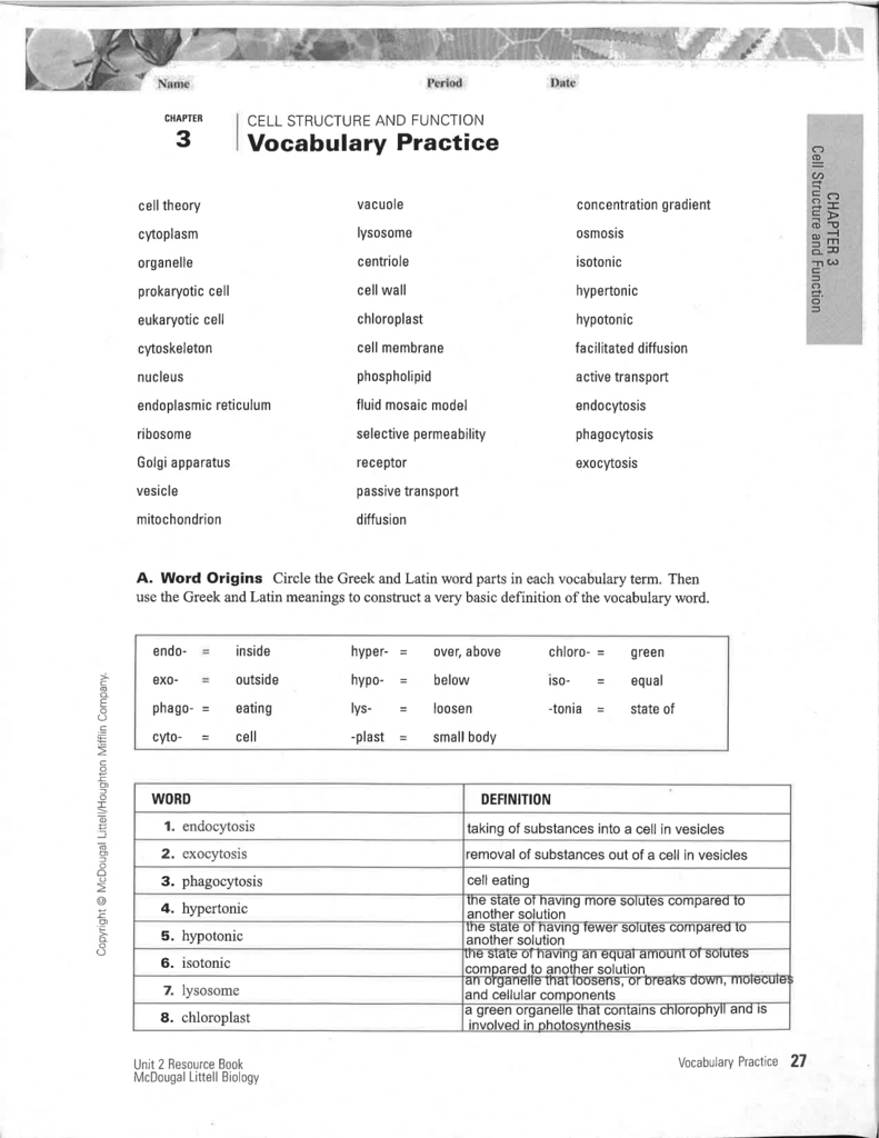 Vocabulary Practice  Science With Ms Ortiz Along With Cell Structure And Function Worksheet Answers Chapter 3