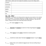 Vocabulary Worksheet History Of Life On Earth Definitions With Regard To Speciation And Extinction Worksheet Answers
