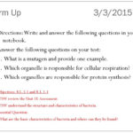 Warm Up 31017 Why Are Bacteria Considered Extremophiles  Ppt Together With Characteristics Of Bacteria Worksheet Answers