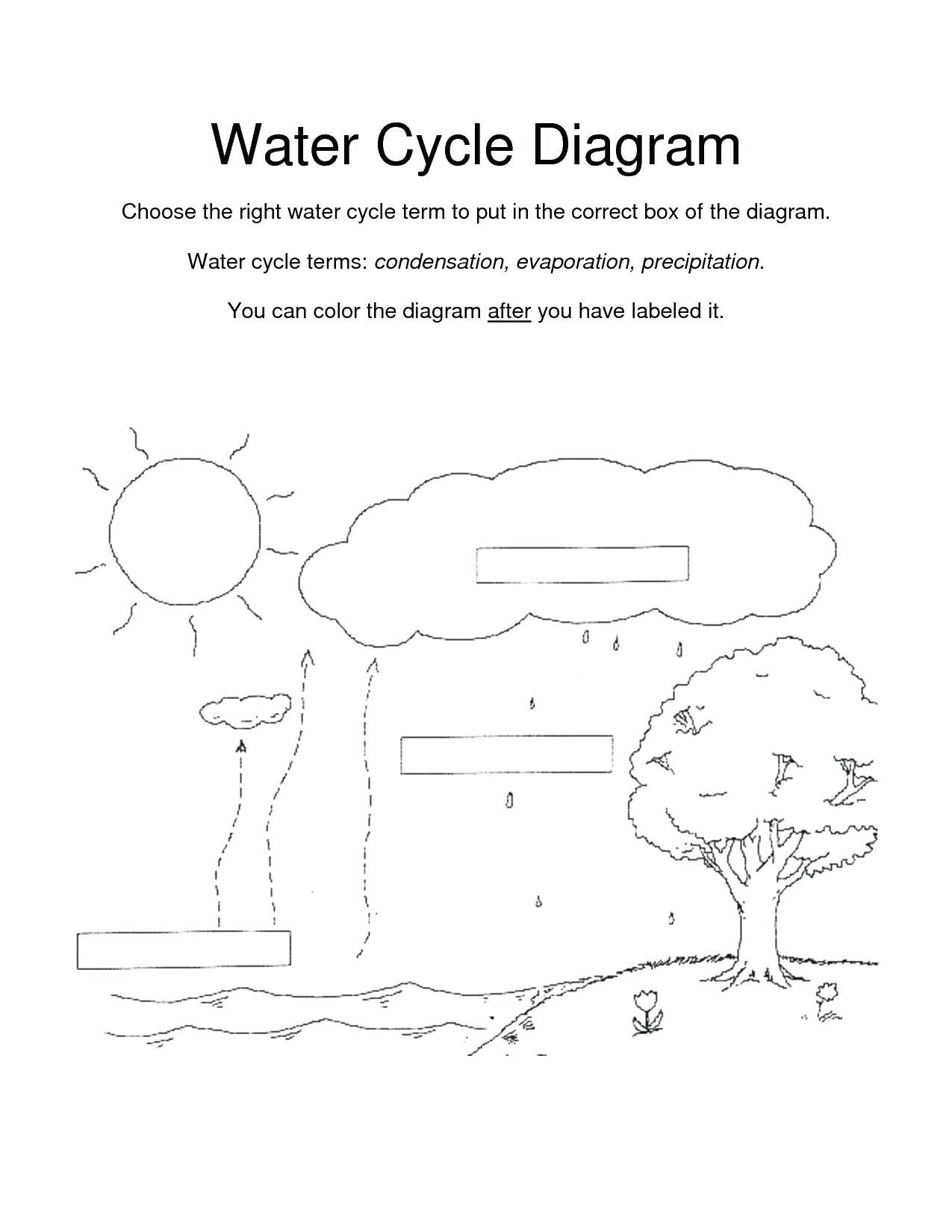 Water Cycle Diagram Labeled – Worldtaxiserviceclub For Water Cycle Worksheet Pdf