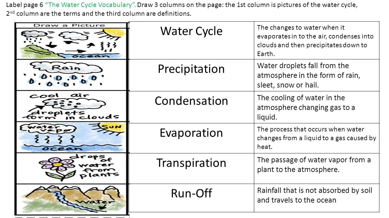 Water Cycle Diagram Labels  Wiring Diagram Blog Pertaining To Label The Water Cycle Worksheet