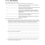 Wave Behavior Along With Section 3 The Behavior Of Waves Worksheet Answers