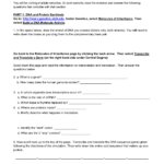 Webquest – Dna And Protein Synthesis With Regard To Dna And Protein Synthesis Worksheet Answers