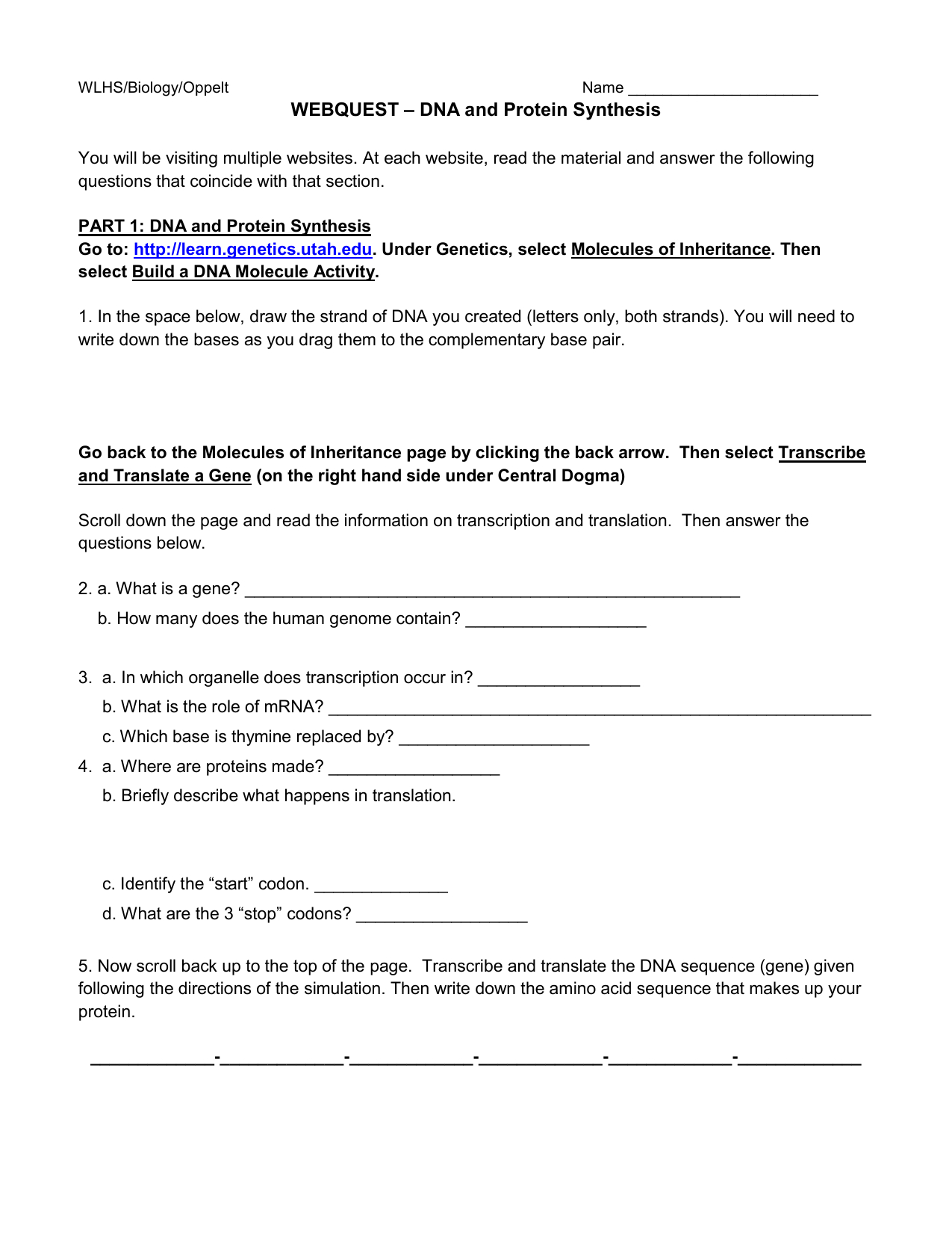 Webquest – Dna And Protein Synthesis With Regard To Dna And Protein Synthesis Worksheet Answers