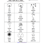 What Am I Worksheet Printouts  Enchantedlearning With Regard To Inside The Living Body Worksheet Answers