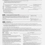 What Will How To Fill Out  Realty Executives Mi  Invoice And In Form 982 Insolvency Worksheet