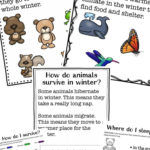 Winter Animals For Preschool Activities  Natural Beach Living Along With Animal Migration Super Teacher Worksheets