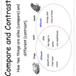 Wonders Second Grade Unit Four Week One Printouts For Compare And Contrast Worksheets 2Nd Grade