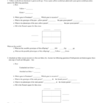Worksheet 1 Complete Dominance Problems For Punnett Square Worksheet 1 Answer Key