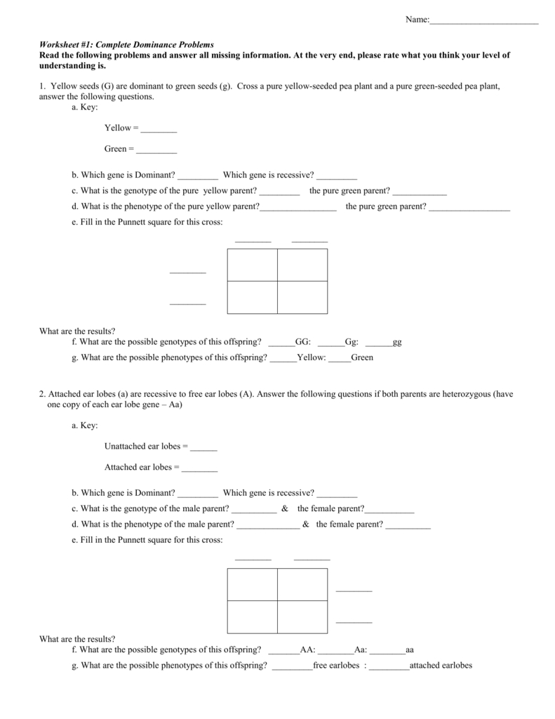 Worksheet 1 Complete Dominance Problems For Punnett Square Worksheet 1 Answer Key