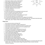 Worksheet Carbon And Nitrogen Cycle For Nitrogen Cycle Worksheet Answers