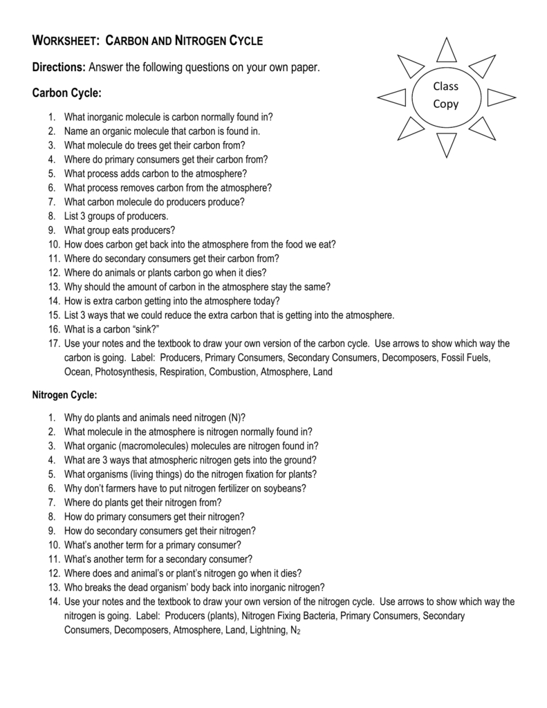 Worksheet Carbon And Nitrogen Cycle Or Water Carbon And Nitrogen Cycle Worksheet