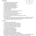 Worksheet Carbon And Nitrogen Cycle With Nitrogen Cycle Worksheet Answers