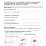 Worksheet Cell Cycle Worksheet Cell Division And The Cell Cycle Within Cells Alive Cell Cycle Worksheet