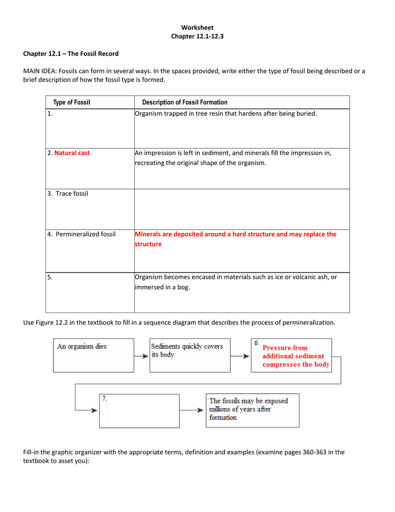 Worksheet Chapter 121123 Chapter 121 – The Fossil Record As Well As Fossil Formation Worksheet