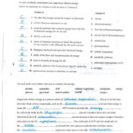 Worksheet Chapter 9 Energy In A Cell Answers Section 1 Chemical Throughout Energy For Life Worksheet