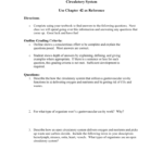 Worksheet Circulatory System Within Chapter 11 The Cardiovascular System Worksheet Answer Key
