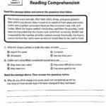 Worksheet Comprehension Worksheets For Grade 4 Auxiliary Verb Or Comprehension Worksheets For Grade 4