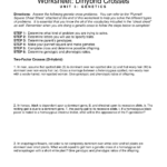 Worksheet Dihybrid Crosses Regarding Genetic Crosses Worksheet