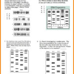 Worksheet Dna Fingerprinting Worksheet Worksheets Dna Throughout Fingerprint Worksheet Answers