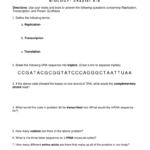 Worksheet Dna Rna And Protein Synthesis In Dna Rna And Proteins Worksheet Answer Key