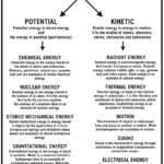 Worksheet Energy Transformation Worksheet Sound Energy Worksheets Within Symmetry Worksheets For High School