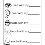 Worksheet Fraction Calculator With Whole Numbers Social Skills Throughout Social Skills Worksheets For Kids