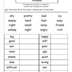 Worksheet Fractions Grade Print Graph Paper Writing Activities For In Second Grade Writing Activities Worksheets