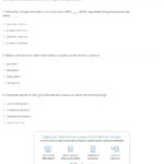 Worksheet Free 7Th Grade Worksheets Spelling Words For Th Grade As Well As Seventh Grade English Worksheets