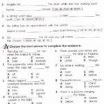 Worksheet Grammar Tenses Test 4Th Grade Geometry Adjectives Intended For Social Interaction Worksheets