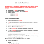 Worksheet Key Or Inherited Traits Worksheet