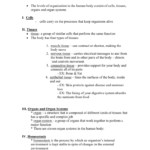 Worksheet Levels Of Organization Worksheet Chapter And Part Of Or Levels Of Biological Organization Worksheet