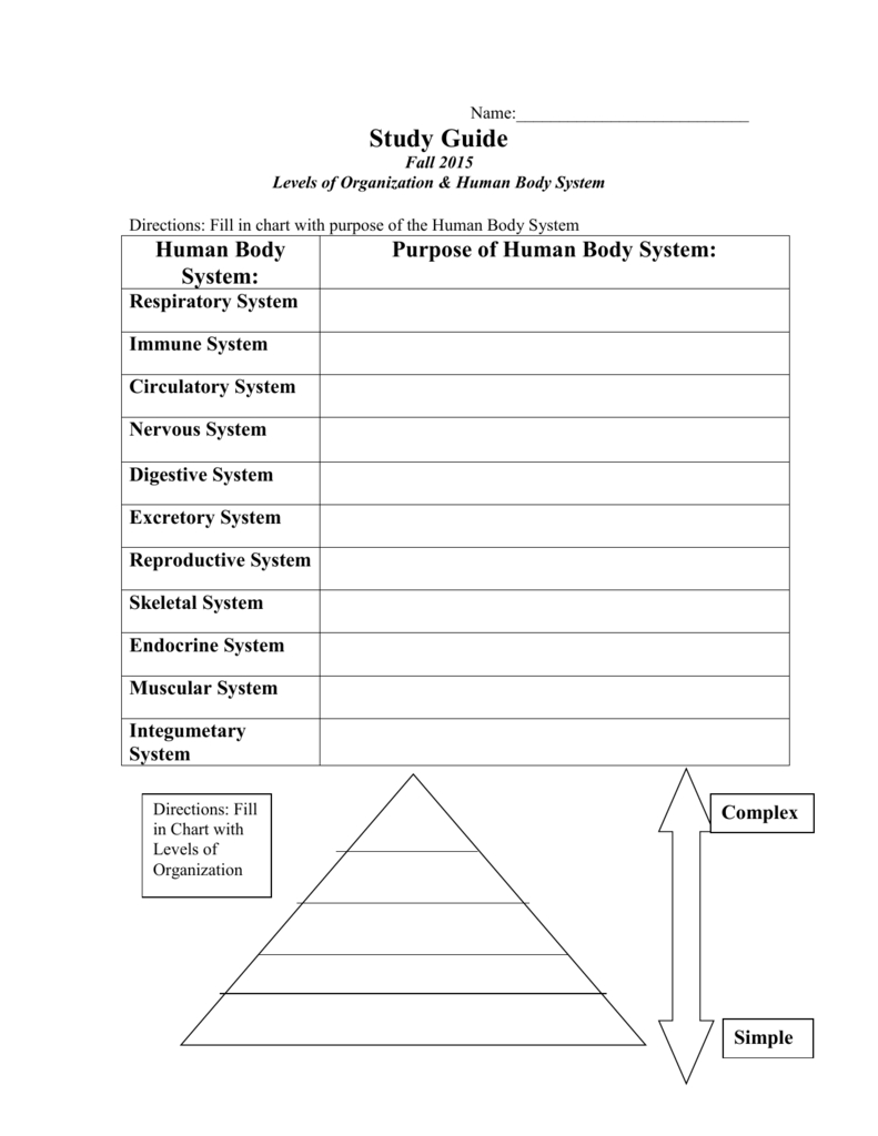 Worksheet Levels Of Organization Worksheet Study Guide Levels Of For Levels Of Biological Organization Worksheet
