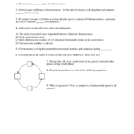 Worksheet Mitosis And Cell Cycle  Mcb 2400 Heredity And Society Together With Cell Cycle And Mitosis Worksheet Answer Key