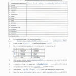 Worksheet On Dna Rna And Protein Synthesis Answer Key  Briefencounters Along With Worksheet On Dna Rna And Protein Synthesis