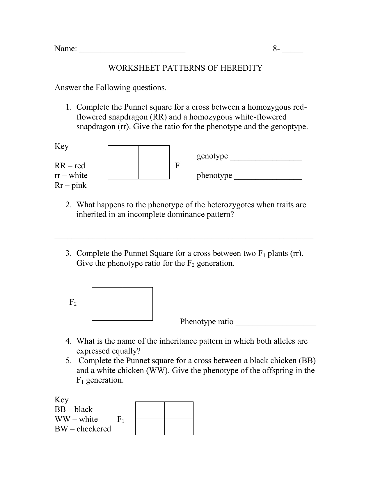 Worksheet Patterns Of Heredity Throughout Patterns Of Inheritance Worksheet