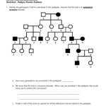 Worksheet  Pedigree Practice Problems Throughout Genetics Pedigree Worksheet Key