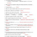 Worksheet Plant And Animal Cell Worksheet Animal Cells Worksheet And Cell Membrane Information Worksheet Answers