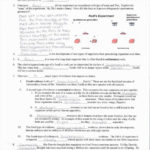 Worksheet Protein Synthesis Worksheet Answers Best Of Say It Dna Within Say It With Dna Protein Synthesis Worksheet Answers