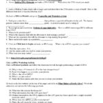Worksheet Transcription And Translation Worksheet Answers Along With Dna Replication And Transcription Worksheet Answers