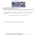 Worksheets On Food Chains And Webs Science Web Webs Food Web Or Food Chains And Webs Worksheet
