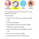 01  Food Safety Coaching Handwashing Worksheets Etcwayne Yare Within Hand Washing Worksheets