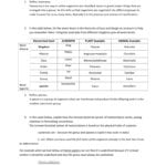 055 Classification Worksheet Pertaining To Taxonomy Worksheet Biology Answers