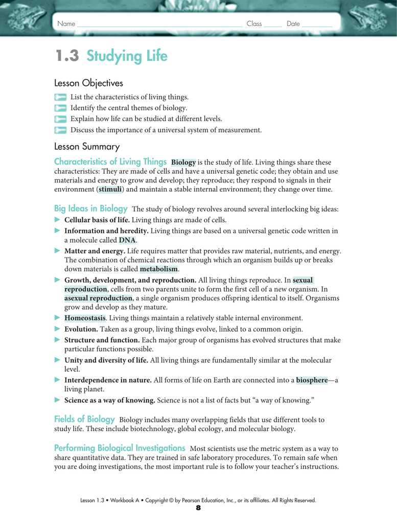 13 Studying Life For Characteristics Of Living Things Worksheet