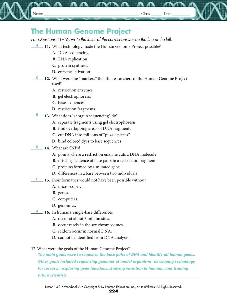 143 Studying The Human Genome  Pdf Inside Chapter 14 The Human Genome Worksheet Answer Key