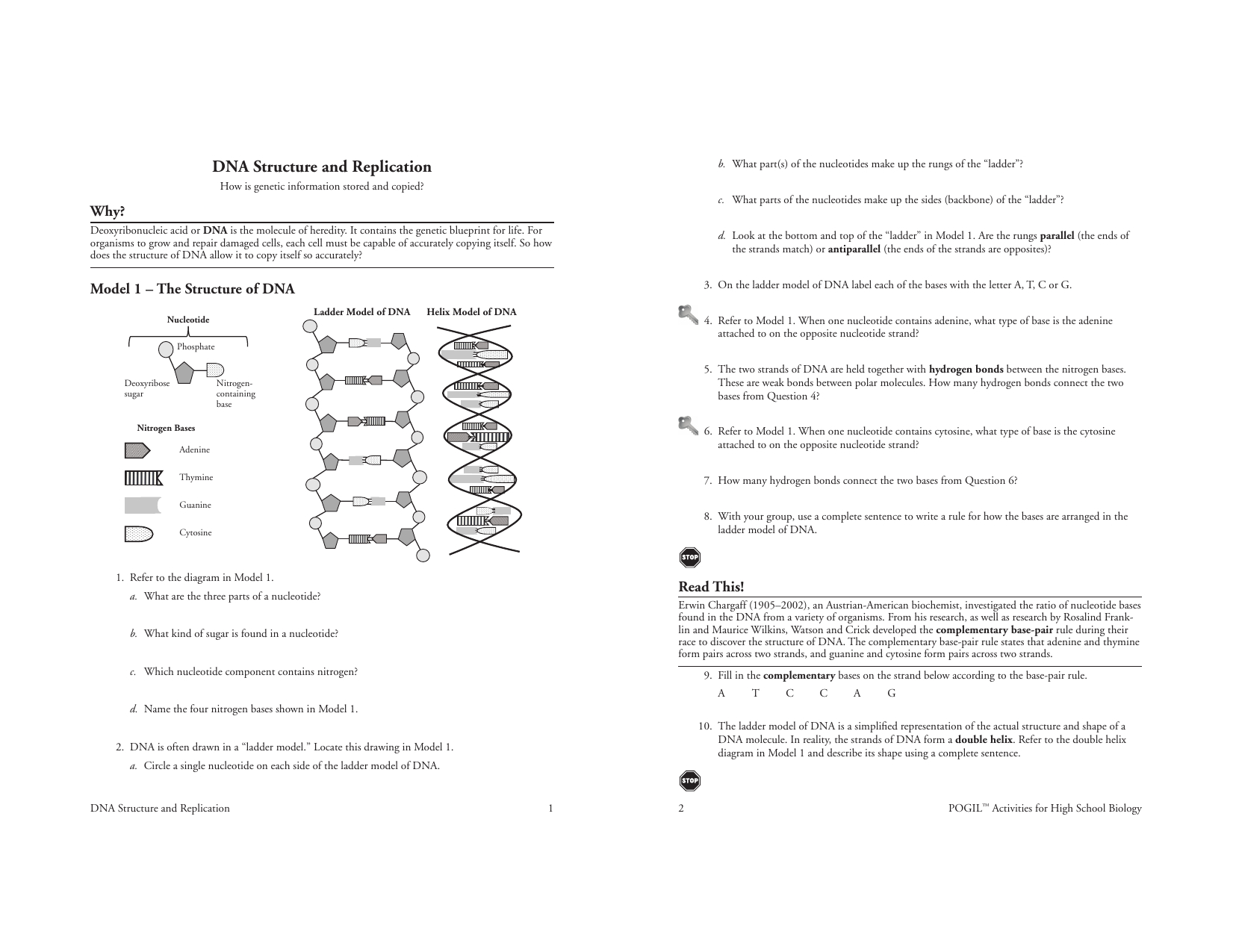 18 Dna Structure And Replications Also Dna Structure And Replication Worksheet Answers
