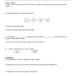 2 Cellular Respiration Worksheet Along With Chapter 9 Energy In A Cell Worksheet Answer Key
